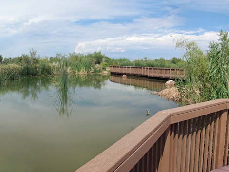 Clark County Wetlands Park