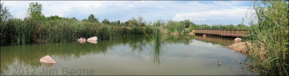 Clark County Wetlands Park