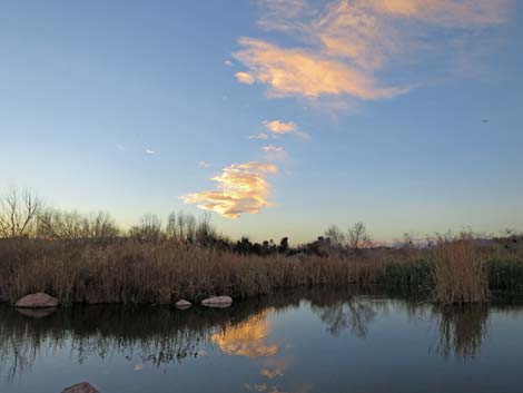 Clark County Wetlands Park