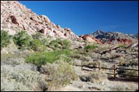 Calico Basin