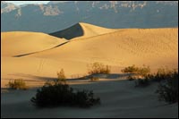 Tracks in Sand Dunes