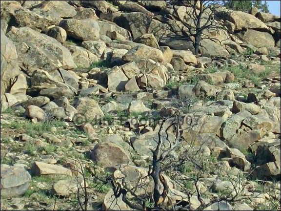 Rocky Desert Soil