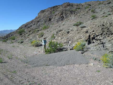 Alluvial Fan