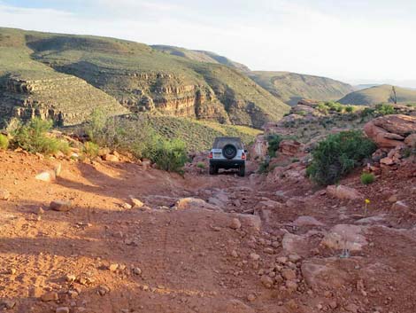 Four-Wheel-Drive (4WD) Dirt Roads