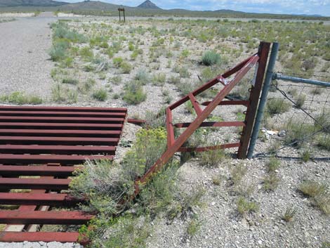 Cattle Guard