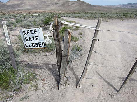 Barbed-Wire Gates