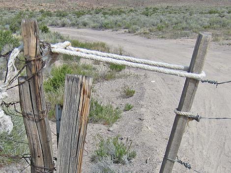 Barbed-Wire Gates