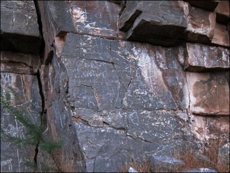 Arrow Canyon Wilderness Area