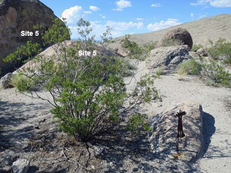 Ash Springs Rock Art Site