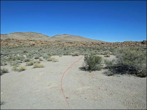 Crystal Wash Entrance Rock Art Site