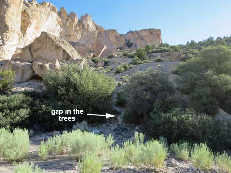 Rainbow Canyon Rock Art