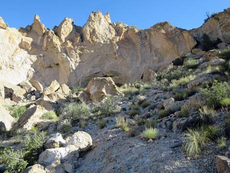 Rainbow Canyon Rock Art