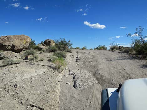 Ash Springs Rock Art Site Road