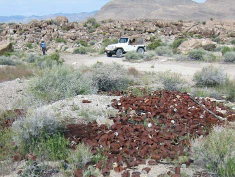 Crystal Wash Shepherd Camp