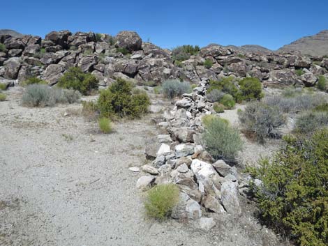 Crystal Wash Shepherd Camp