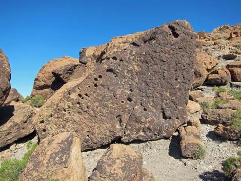 Mojave National Preserve