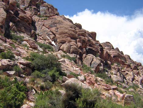 Calico Basin