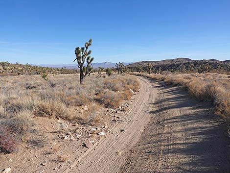 Grasslands Trail