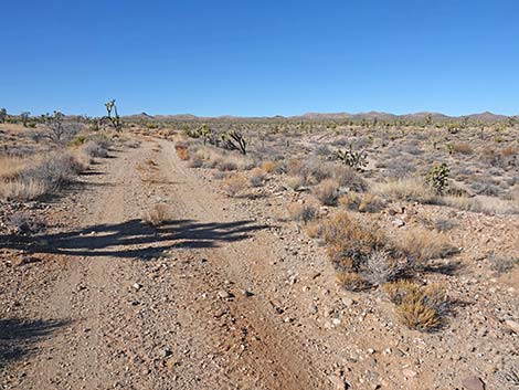 Grasslands Trail