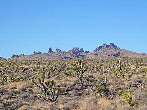 Grasslands Trail