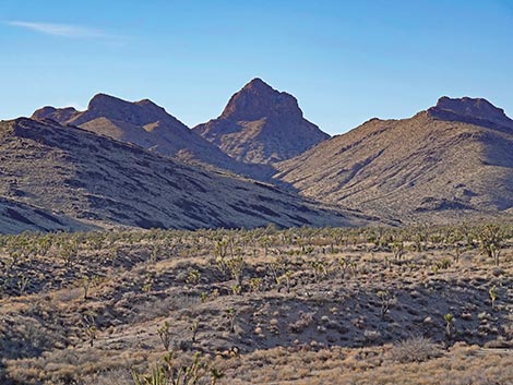 Grasslands Trail