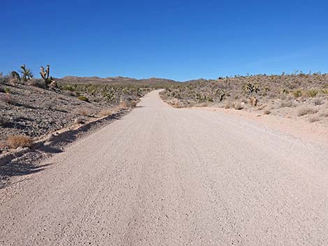 Grasslands Trail