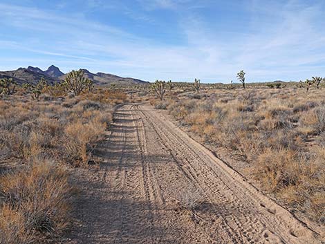 Grasslands Trail