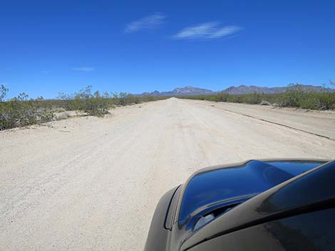 Christmas Tree Pass Road