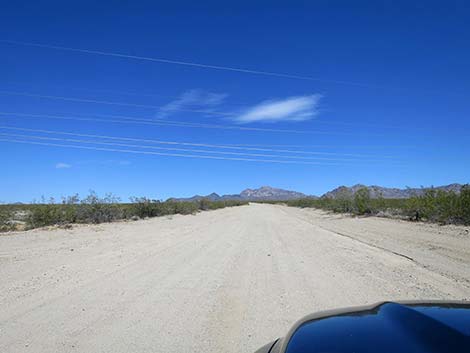 Christmas Tree Pass Road