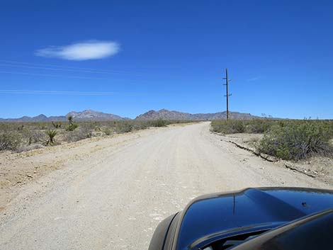 Christmas Tree Pass Road