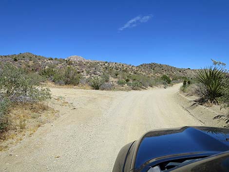 Christmas Tree Pass Road