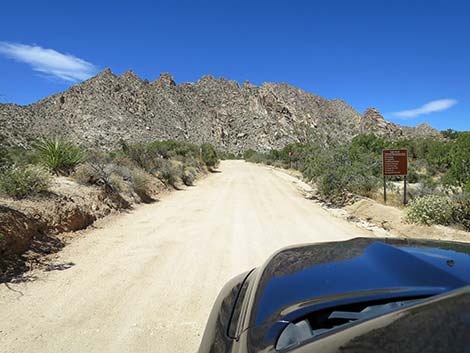 Christmas Tree Pass Road