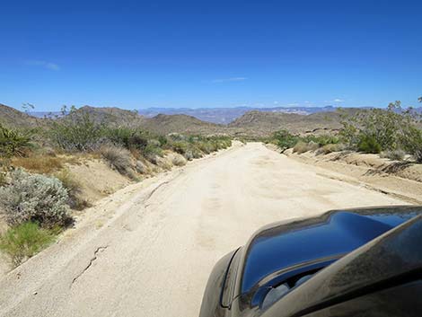 Christmas Tree Pass Road