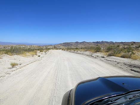 Christmas Tree Pass Road