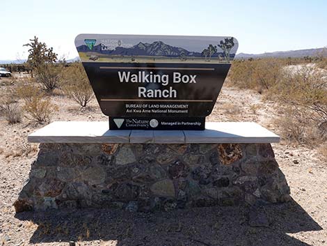 Walking Box Road