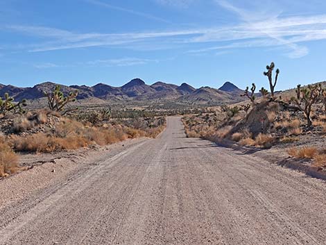 Walking Box Ranch Road