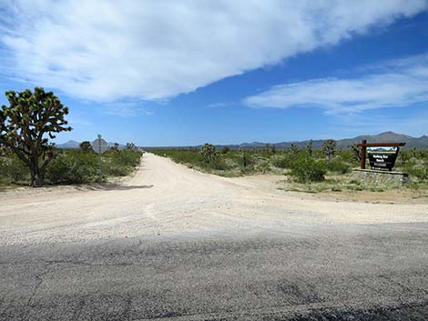 Walking Box Ranch