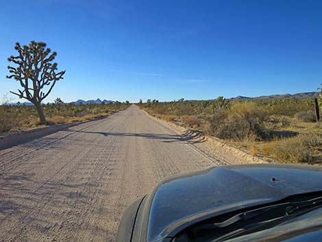 Walking Box Ranch Road