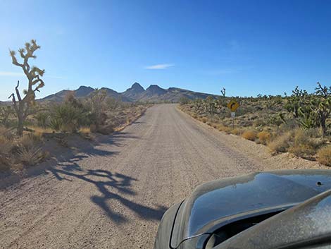 Walking Box Ranch Road