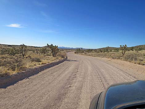 Walking Box Ranch Road