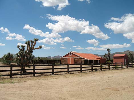 Walking Box Ranch