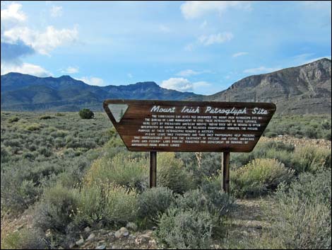 first blm sign