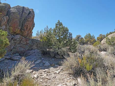 Paiute Rock