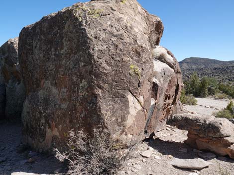 Paiute Rock Site 8