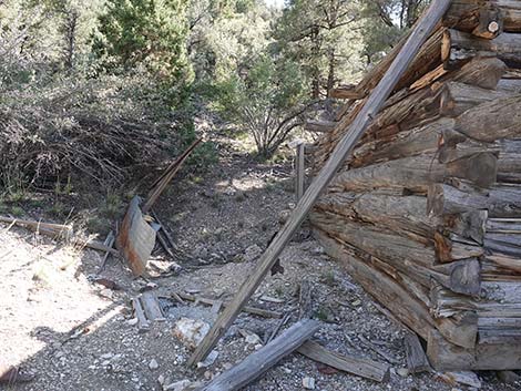 Rosie's Mining Cabin