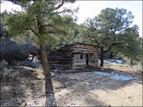 Rosie's Mining Cabin