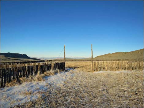 Timber Pass Road