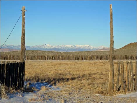 Timber Mountain Pass Road