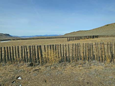 Timber Mountain Pass Road