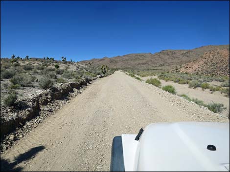 Badger Valley Road